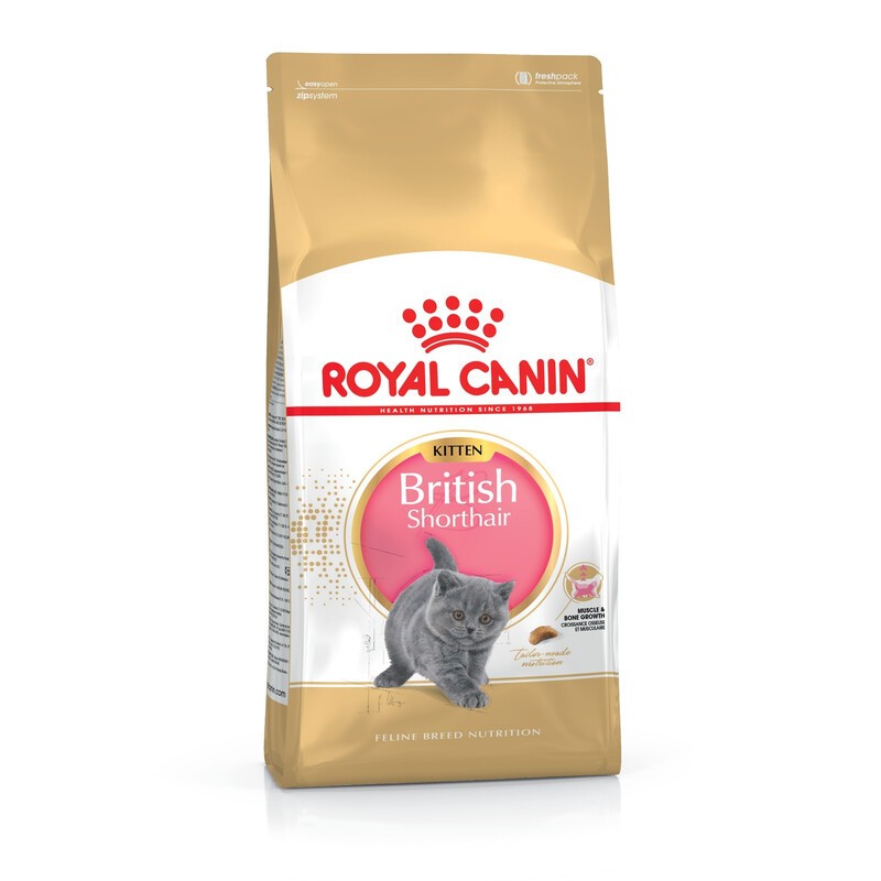 Royal Canin British Shorthair Kitten для кошенят 4 кг