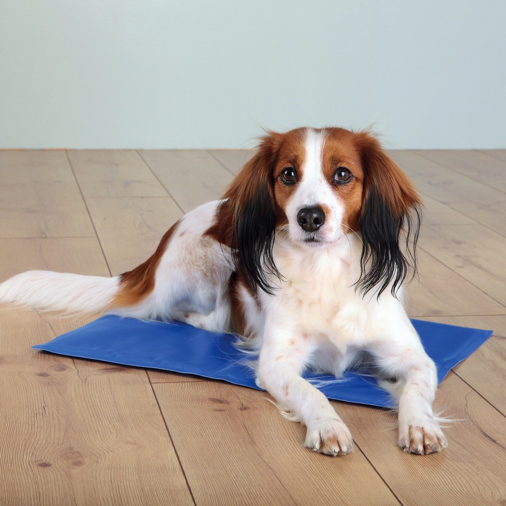 Коврик Trixie Cooling Mat охлаждающий, голубой, 65х50 см (28684)